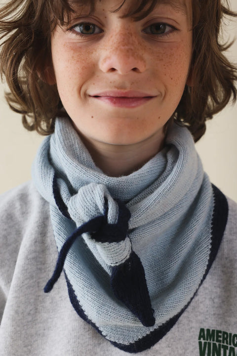 Zweifarbiger Colette Schal in Blau und Marine locker um den Hals gelegt