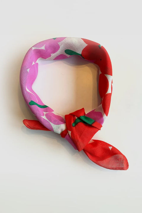 Buntes Danebandana MAXIBERRY mit Maxiberry-Druck von Danefae
