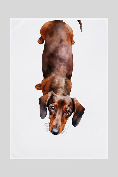 Miss Cotton Dish Towel Dachshund – White Organic Cotton Kitchen Towel with Watercolor Dachshund Standing Upright