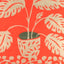 Carré Laine Monstera Orange Les Belles Vagabondes, als Schultertuch getragen, leichtes Wolltuch mit ausdrucksstarkem Motiv