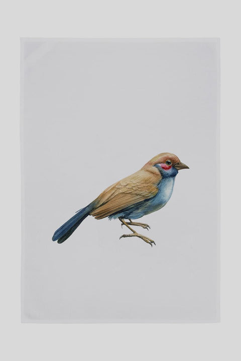 Geschirrtuch Blaukehlchen von Miss Cotton, 100% Bio-Baumwolle, Aquarellmotiv auf Weiß, 50 x 70 cm