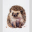 Miss Cotton Dish Towel Hedgehogs – White Kitchen Towel in Organic Cotton with Watercolor Hedgehog Motif, 50 × 70 cm